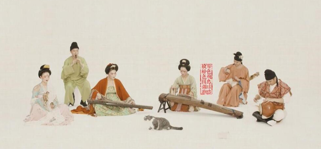 ��Щ���Ļ�IP��Ҫ����