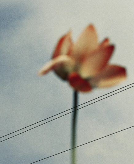 ΢�Ž�ͼ_20210419161015