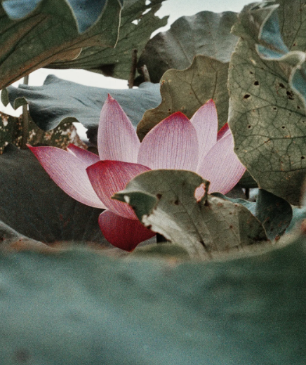 ΢�Ž�ͼ_20210419160803