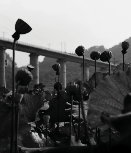 ΢�Ž�ͼ_20210419161022