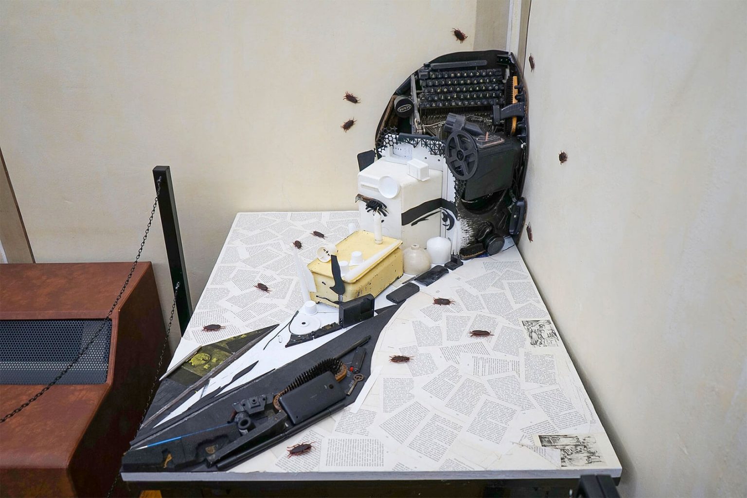 ������ݿ�������Patrik Proško������������������