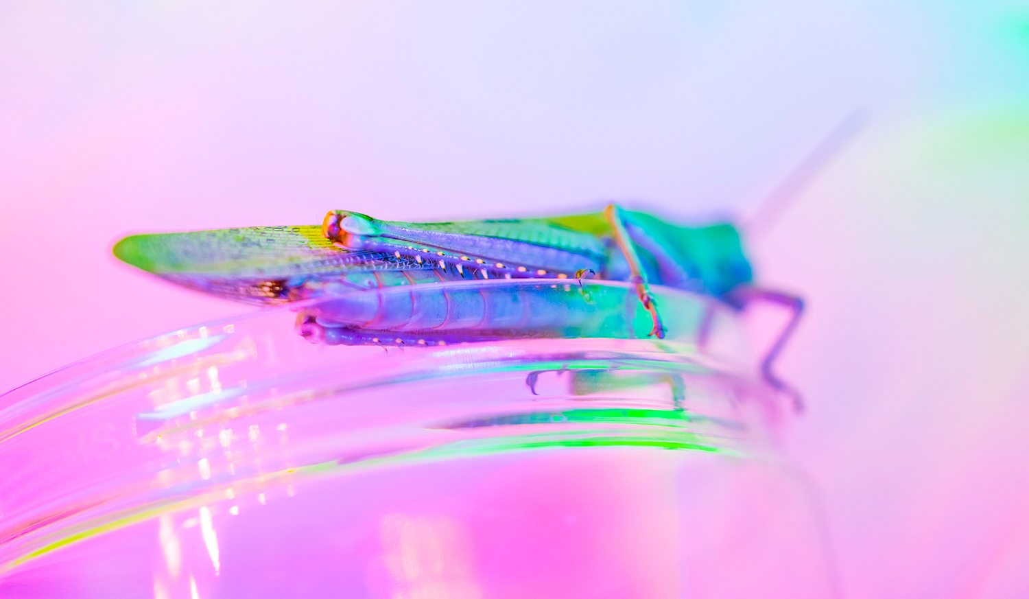 20022��ֵ�ó��ԵľŸ�<a href=http://m.biwataku.com/ target=_blank class=infotextkey>18luck����ȫվ</a>�����ͼ���