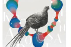 �Ӿ�18luck����ȫվ��Ҫ�Ĳ��Ǵ��⣬������ѭ������ҵԭ��