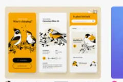 18luck����ȫվʦӦ�����Ѱ����У�