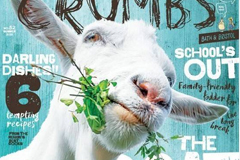 30�麣����������η������18luck����ȫվ��ʦ���㺣��18luck����ȫվ���