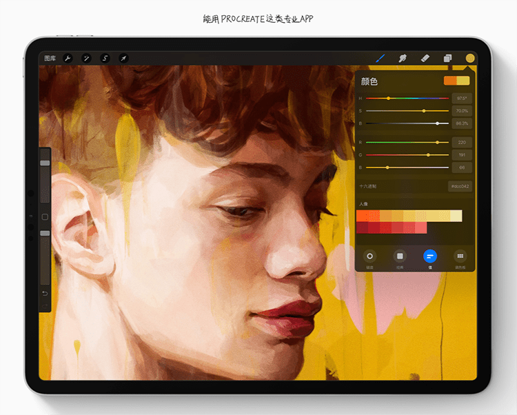 数位屏和iPad哪个更适合画画?来看这个超详细的分析评测