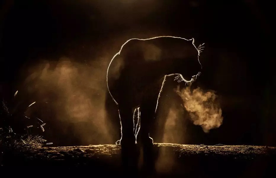 <a href=http://m.biwataku.com/ target=_blank class=infotextkey>18luck����ȫվ</a>ʦ��ι�������ĳ�Ϯ���������ֵķ�����