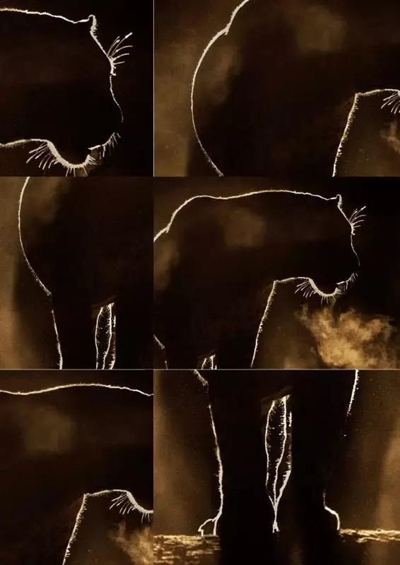 <a href=http://m.biwataku.com/ target=_blank class=infotextkey>18luck����ȫվ</a>ʦ��ι�������ĳ�Ϯ���������ֵķ�����