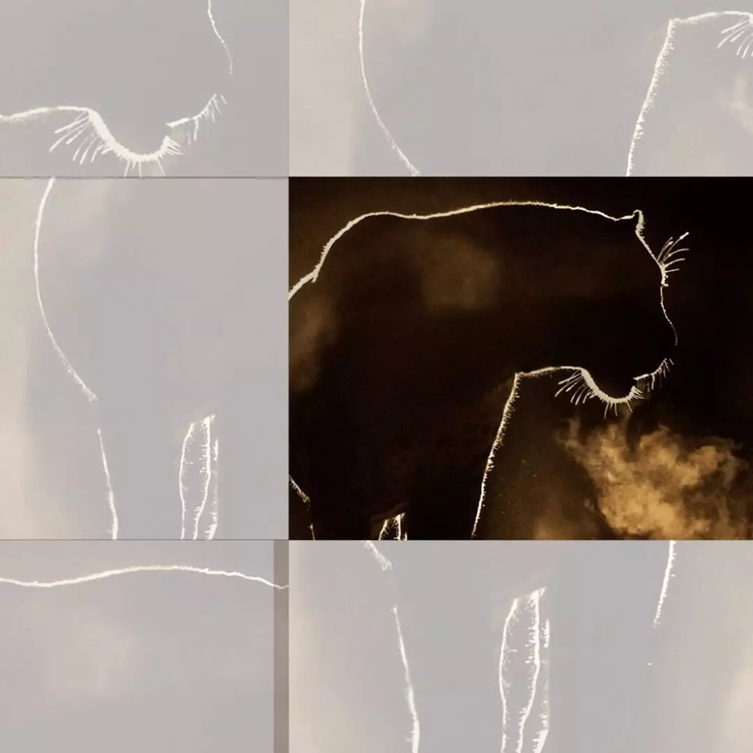 <a href=http://m.biwataku.com/ target=_blank class=infotextkey>18luck����ȫվ</a>ʦ��ι�������ĳ�Ϯ���������ֵķ�����