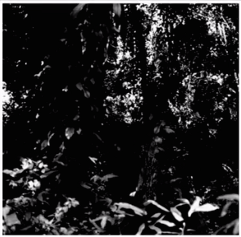 �о���ɫ����ѧ��<a href=http://m.biwataku.com/ target=_blank class=infotextkey>18luck����ȫվ</a>ʦ��ɫǰ��Ҫ����˼����