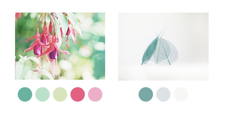 超实用!手把手教你从大师的作品中借鉴配色灵感