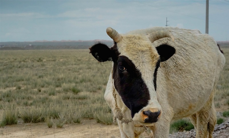 ��һ������������ 18luck������ѧ������ֱ��ͼ�ƽ�ͼ��ķ���