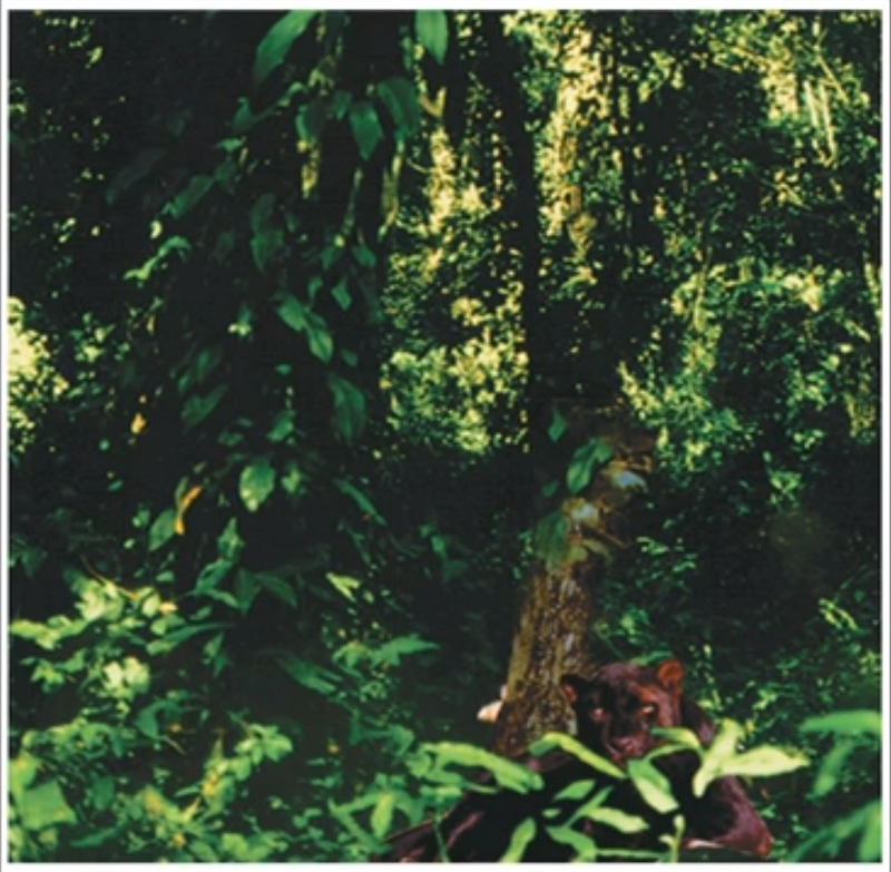 �о���ɫ����ѧ��<a href=http://m.biwataku.com/ target=_blank class=infotextkey>18luck����ȫվ</a>ʦ��ɫǰ��Ҫ����˼����