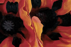 2022��10��ֵ���ڴ��ľ��ʹ�������չ