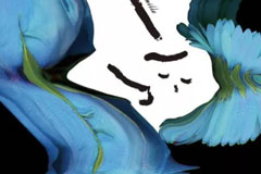 �ձ�ƽ��18luck����ȫվʦЭ�ṫ����24�����۲߽���2022��JAGDA����2022��JAGDA