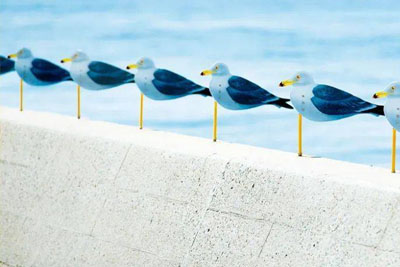 2022�����ڹ���������ȫ�����Ӿ�����