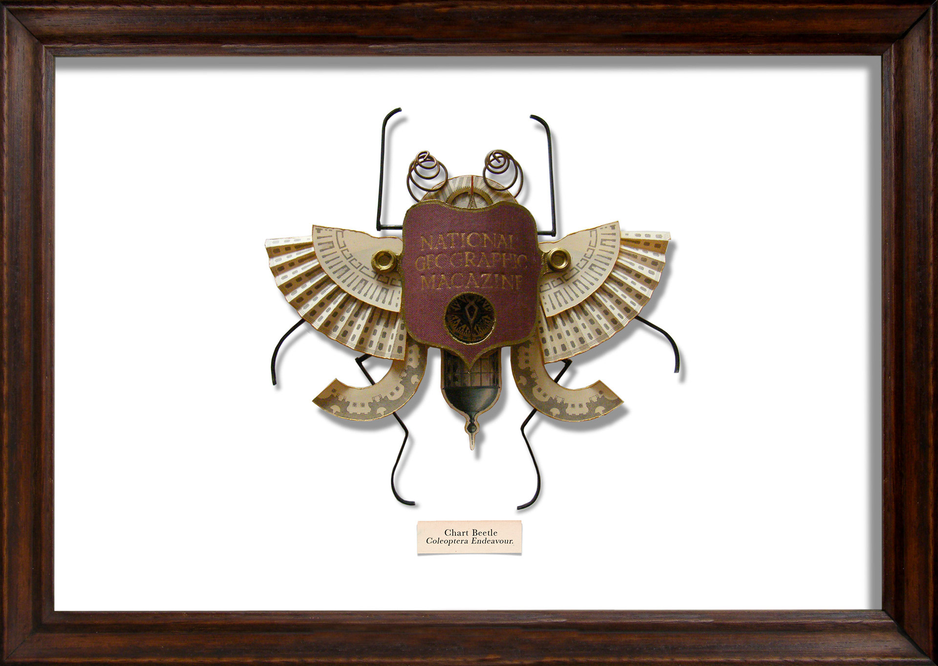 ����ķ�����ƴ������