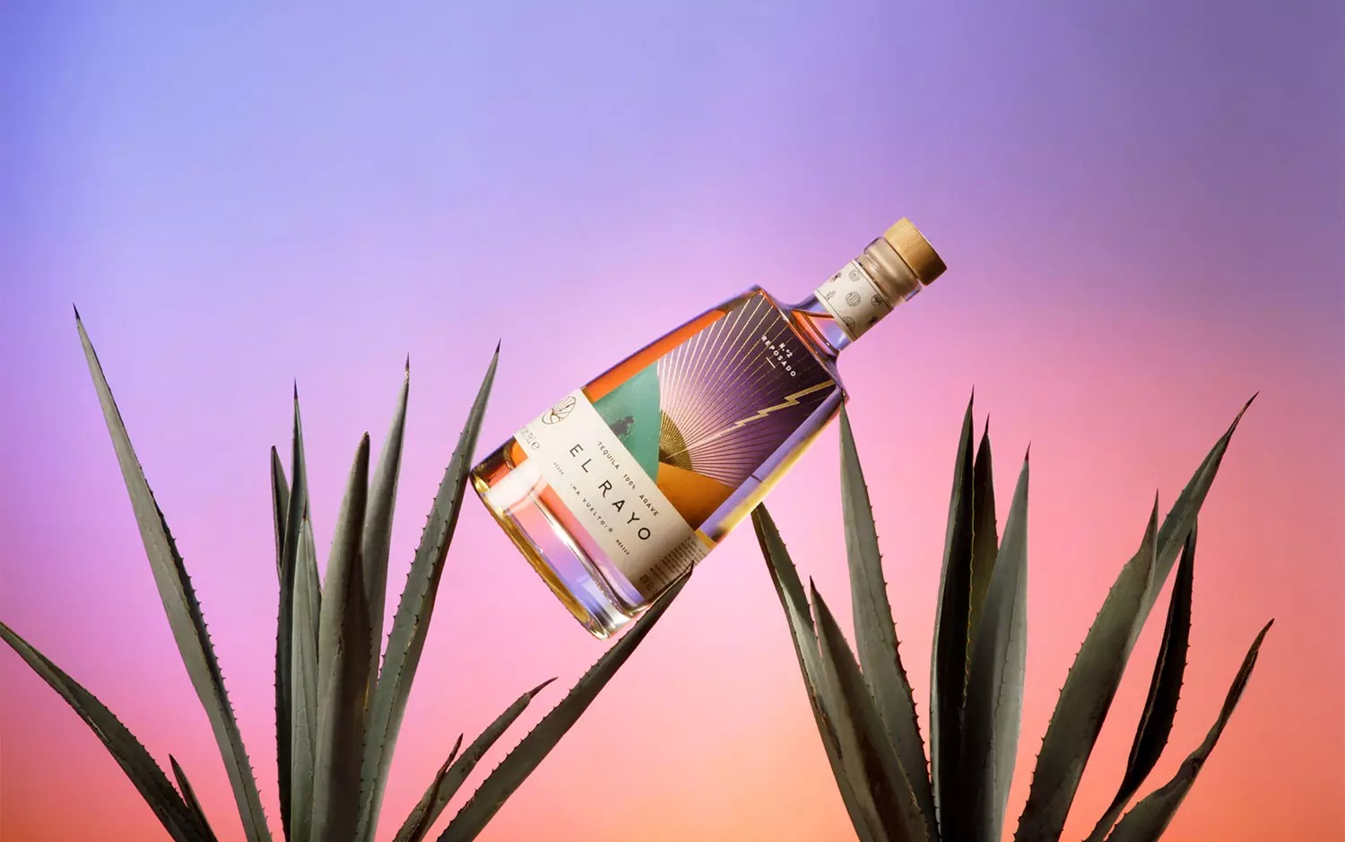 El Rayo��������<a href=http://m.biwataku.com/sheji/baozhuang/ target=_blank class=infotextkey>��װ</a><a href=http://m.biwataku.com/ target=_blank class=infotextkey>18luck����ȫվ</a>