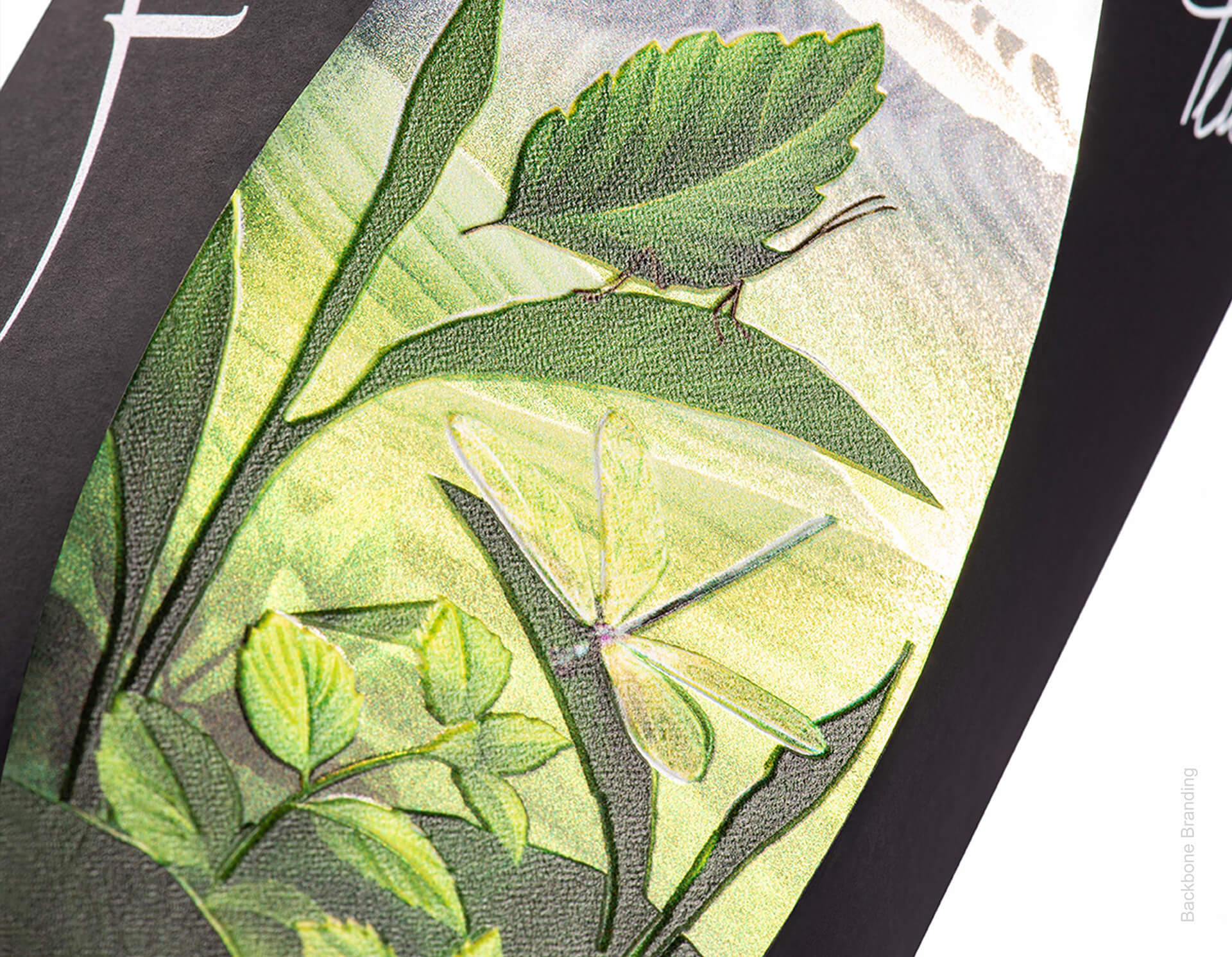 Teastan��<a href=http://m.biwataku.com/sheji/baozhuang/ target=_blank class=infotextkey>��װ</a><a href=http://m.biwataku.com/ target=_blank class=infotextkey>18luck����ȫվ</a>