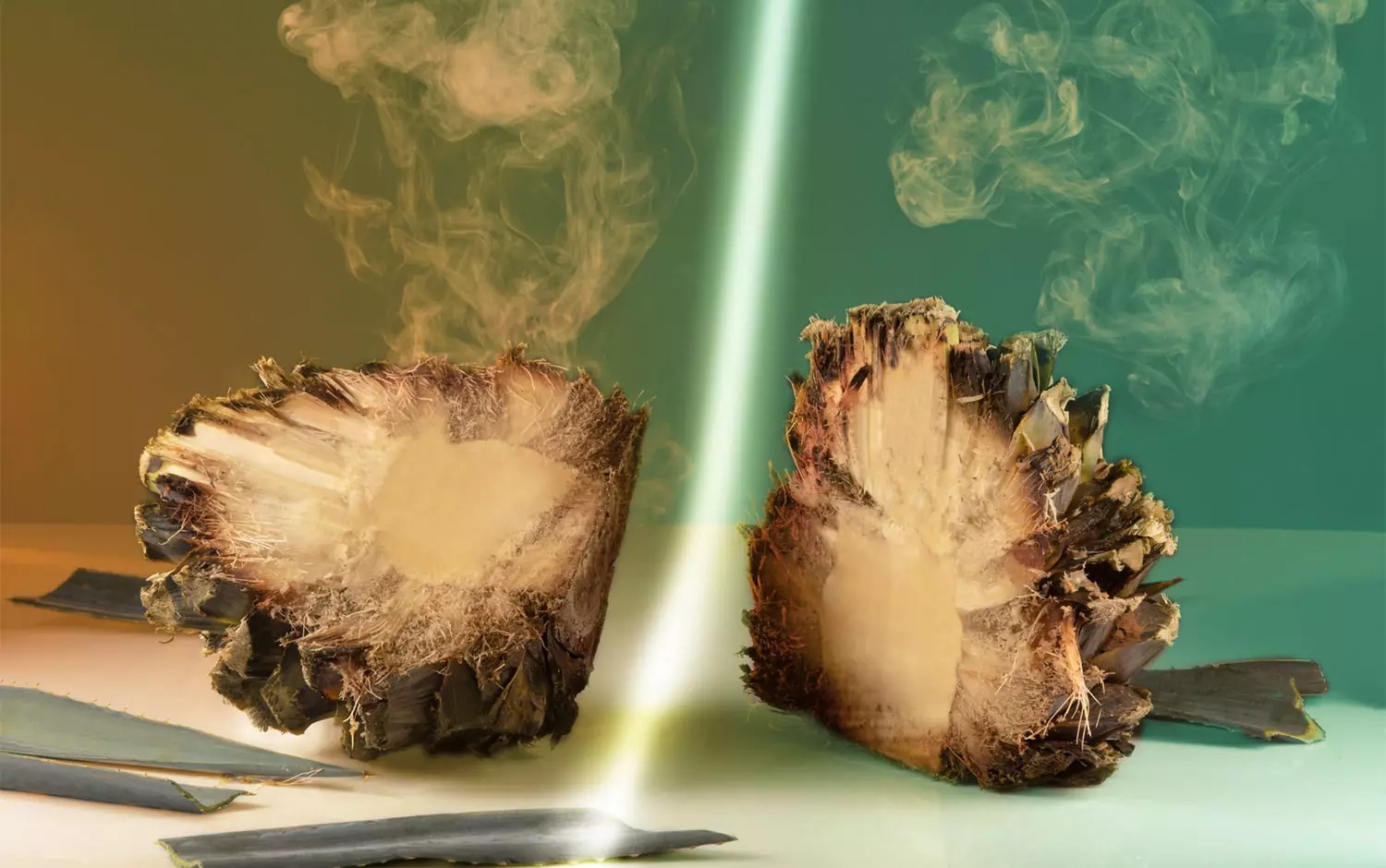 El Rayo��������<a href=http://m.biwataku.com/sheji/baozhuang/ target=_blank class=infotextkey>��װ</a><a href=http://m.biwataku.com/ target=_blank class=infotextkey>18luck����ȫվ</a>