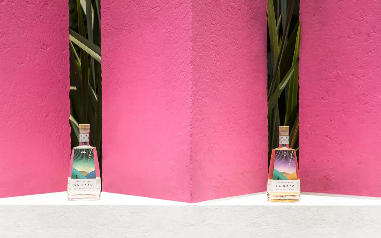 El Rayo��������<a href=http://m.biwataku.com/sheji/baozhuang/ target=_blank class=infotextkey>��װ</a><a href=http://m.biwataku.com/ target=_blank class=infotextkey>18luck����ȫվ</a>