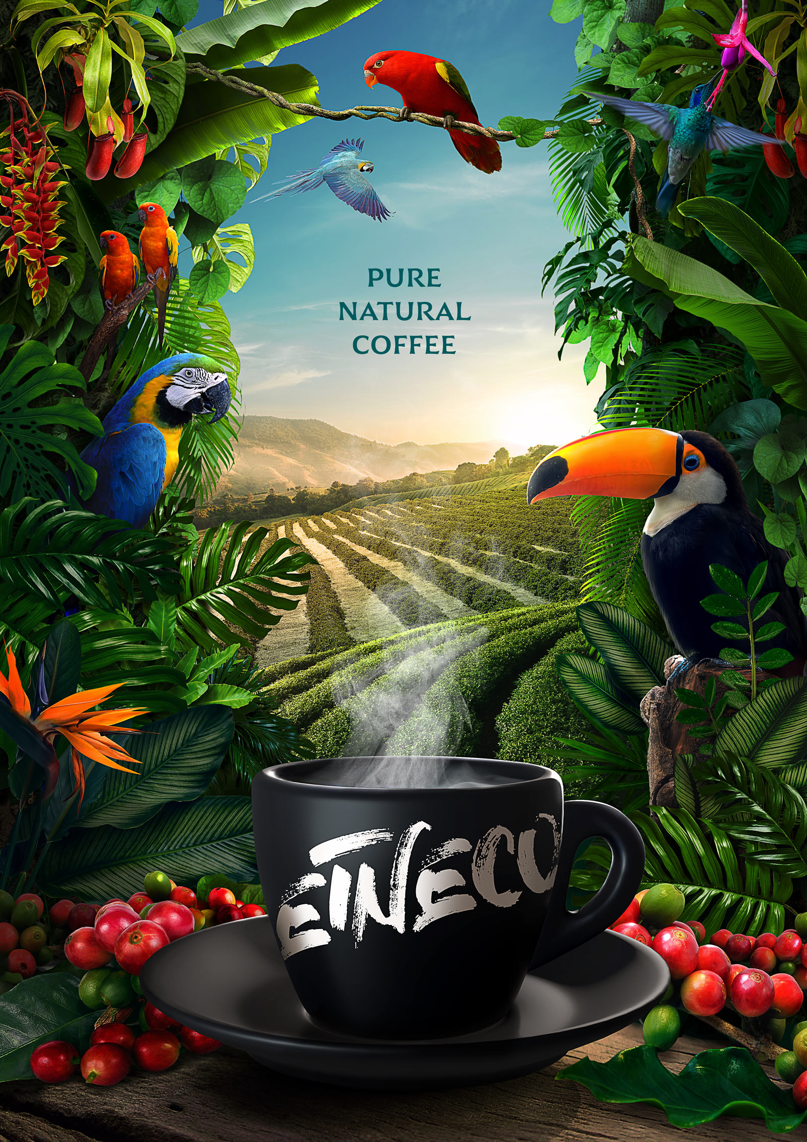 Etneco����<a href=http://m.biwataku.com/sheji/baozhuang/ target=_blank class=infotextkey>��װ</a><a href=http://m.biwataku.com/ target=_blank class=infotextkey>18luck����ȫվ</a>