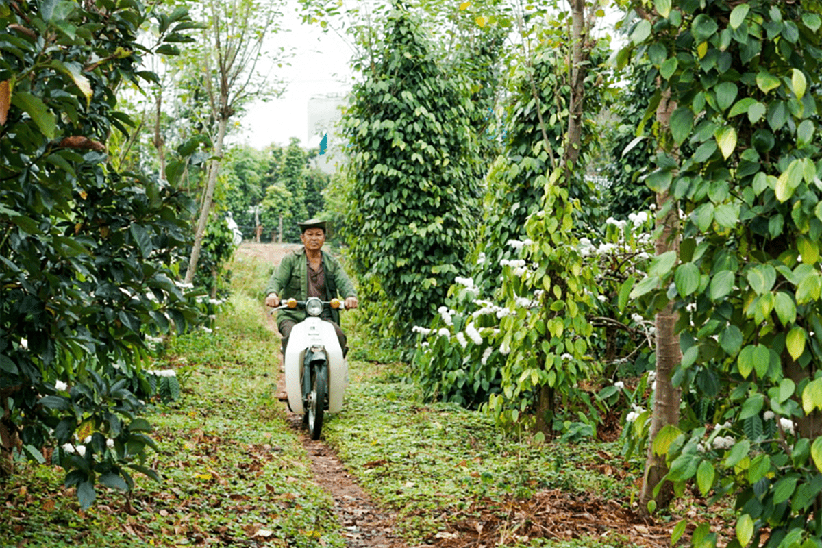 NAM Coffee����Ʒ��<a href=http://m.biwataku.com/sheji/baozhuang/ target=_blank class=infotextkey>��װ</a><a href=http://m.biwataku.com/ target=_blank class=infotextkey>18luck����ȫվ</a>