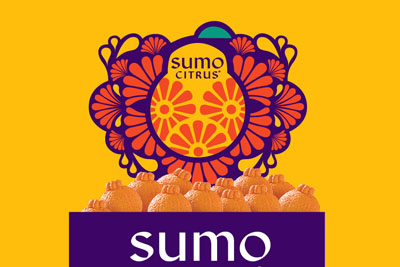 �ձ����˸���Ʒ�ư�װ18luck����ȫվ 