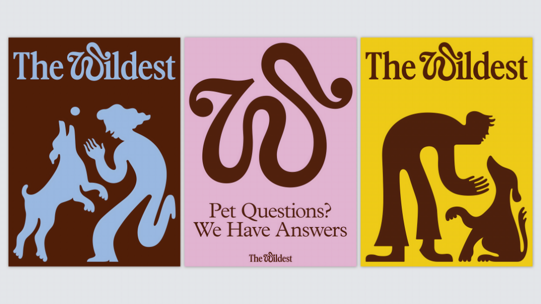 2022ŦԼTDC��������ָ�����ֲ���<a href=http://m.biwataku.com/sheji/biaozhi/ target=_blank class=infotextkey>��ʶ</a><a href=http://m.biwataku.com/ target=_blank class=infotextkey>18luck����ȫվ</a>����Ʒ