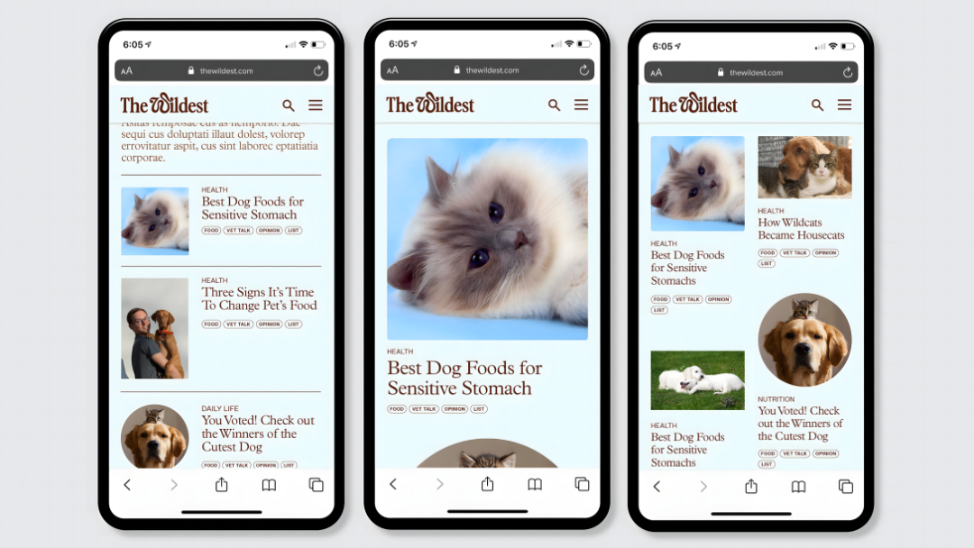 2022ŦԼTDC��������ָ�����ֲ���<a href=http://m.biwataku.com/sheji/biaozhi/ target=_blank class=infotextkey>��ʶ</a><a href=http://m.biwataku.com/ target=_blank class=infotextkey>18luck����ȫվ</a>����Ʒ