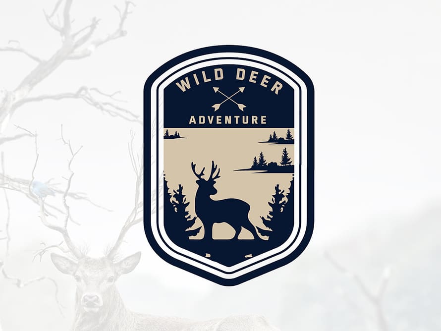 50��⸴�Ż��·��<a href=http://m.biwataku.com/sheji/biaozhi/ target=_blank class=infotextkey>logo</a><a href=http://m.biwataku.com/ target=_blank class=infotextkey>18luck����ȫվ</a>