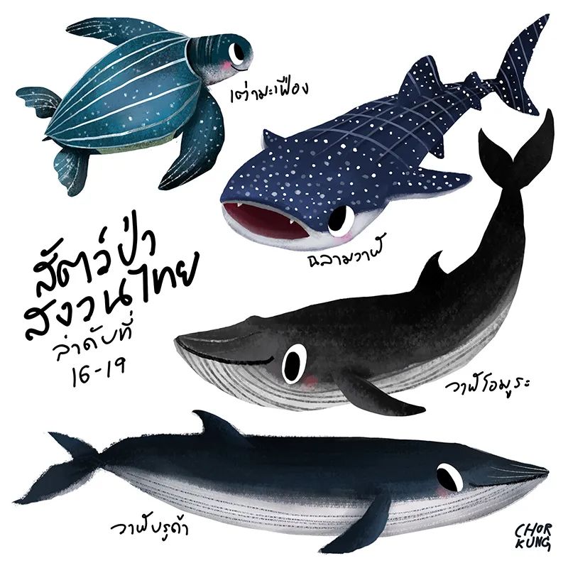 ŨŨ��Ϳ��! ̩����ʦChorkung<a href=http://m.biwataku.com/sheji/chahua/ target=_blank class=infotextkey>�廭</a>��Ʒ