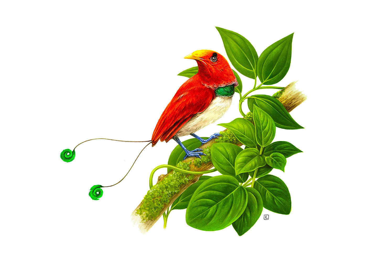 �����<a href=http://m.biwataku.com/sheji/chahua/ target=_blank class=infotextkey>�廭</a>ʦIrene Laschi�ֻ�<a href=http://m.biwataku.com/sheji/chahua/ target=_blank class=infotextkey>�廭</a>��Ʒ