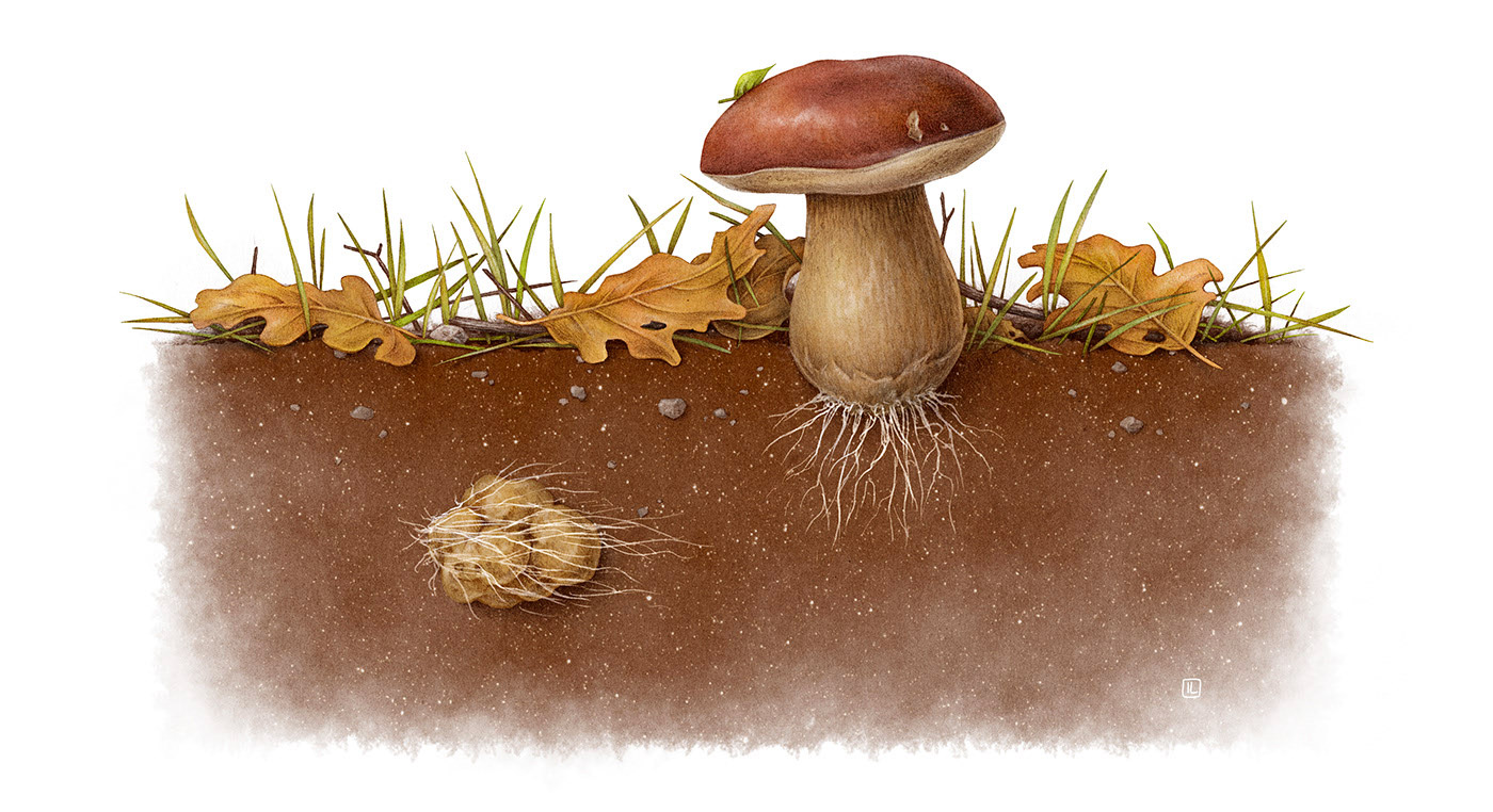 �����<a href=http://m.biwataku.com/sheji/chahua/ target=_blank class=infotextkey>�廭</a>ʦIrene Laschi�ֻ�<a href=http://m.biwataku.com/sheji/chahua/ target=_blank class=infotextkey>�廭</a>��Ʒ