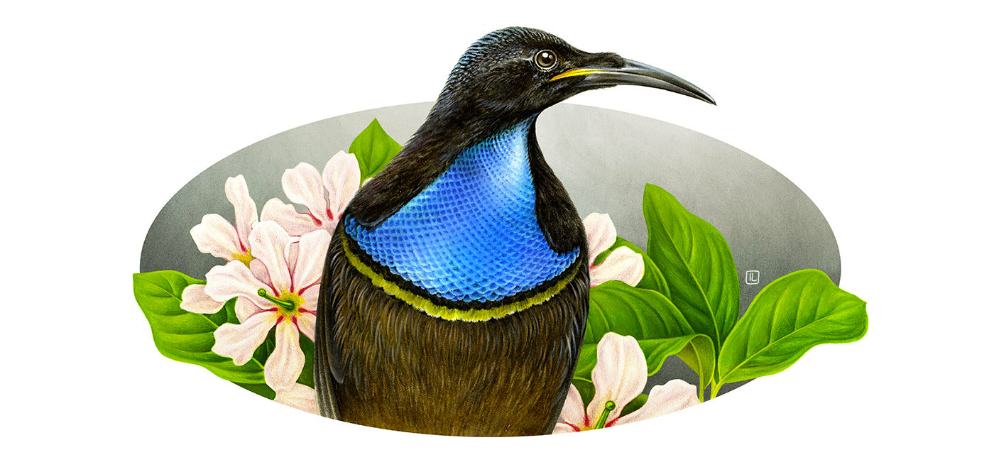 �����<a href=http://m.biwataku.com/sheji/chahua/ target=_blank class=infotextkey>�廭</a>ʦIrene Laschi�ֻ�<a href=http://m.biwataku.com/sheji/chahua/ target=_blank class=infotextkey>�廭</a>��Ʒ