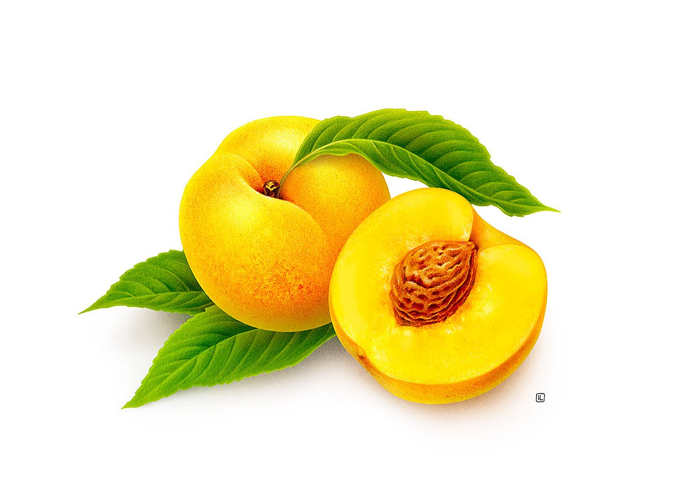 �����<a href=http://m.biwataku.com/sheji/chahua/ target=_blank class=infotextkey>�廭</a>ʦIrene Laschi�ֻ�<a href=http://m.biwataku.com/sheji/chahua/ target=_blank class=infotextkey>�廭</a>��Ʒ