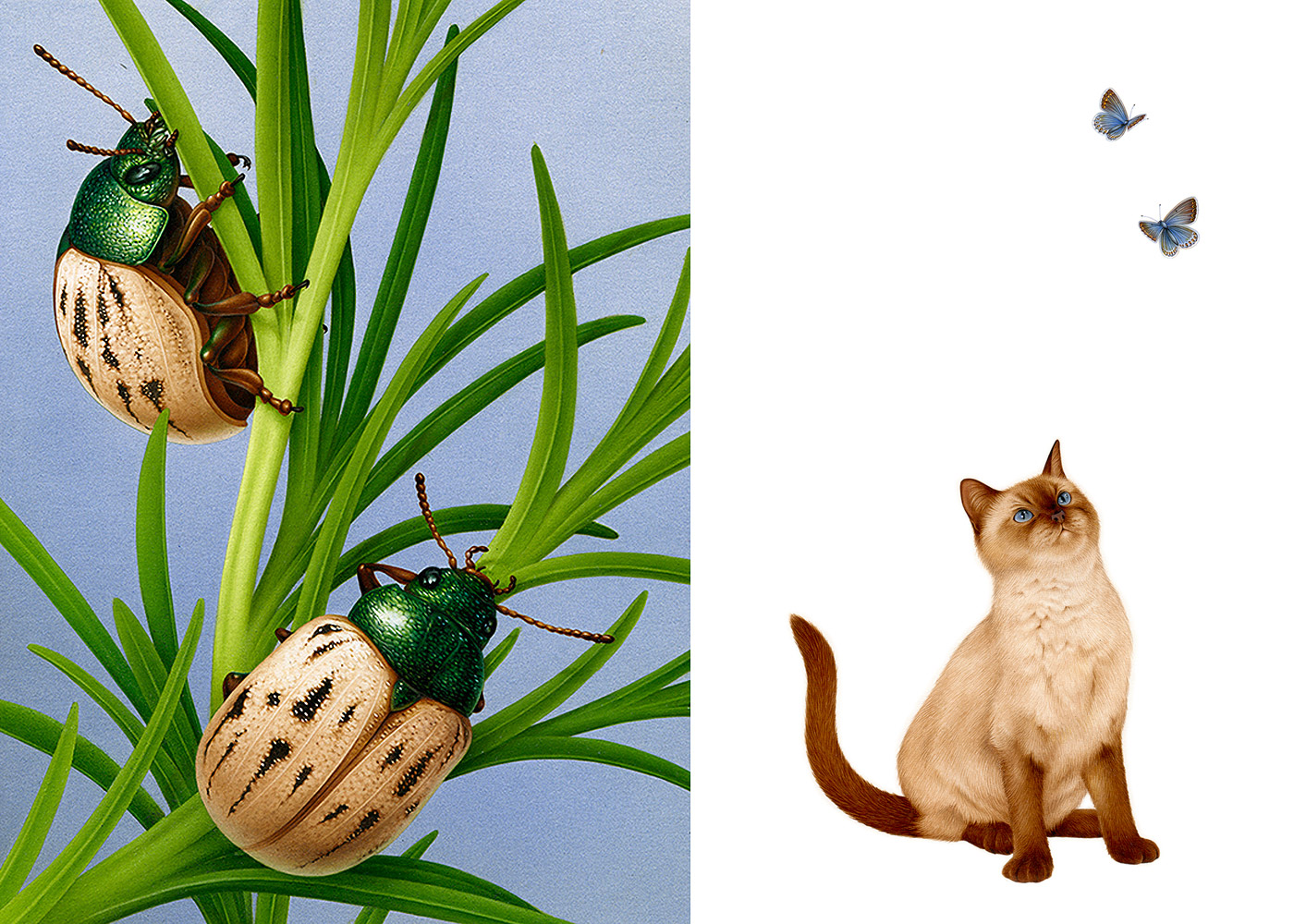 �����<a href=http://m.biwataku.com/sheji/chahua/ target=_blank class=infotextkey>�廭</a>ʦIrene Laschi�ֻ�<a href=http://m.biwataku.com/sheji/chahua/ target=_blank class=infotextkey>�廭</a>��Ʒ