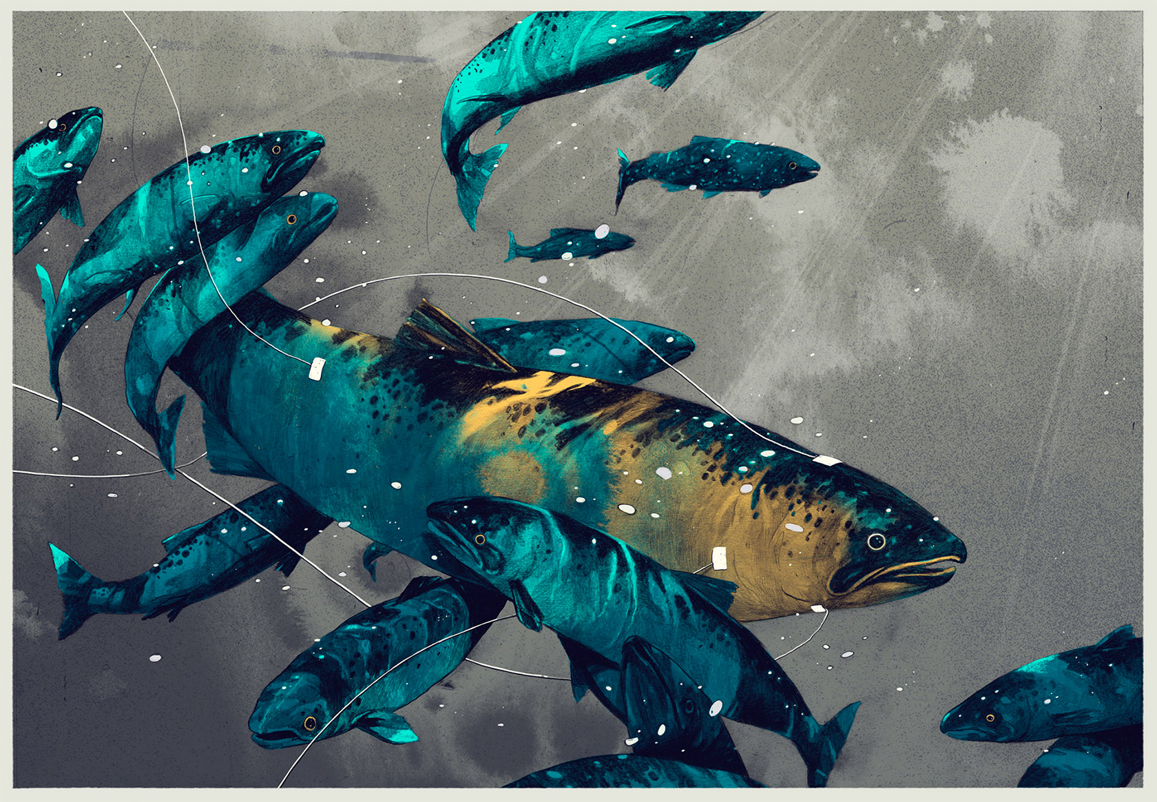 �¹�Simon Prades<a href=http://m.biwataku.com/sheji/chahua/ target=_blank class=infotextkey>�廭</a>�Һ�<a href=http://m.biwataku.com/ target=_blank class=infotextkey>ƽ��<a href=http://m.biwataku.com/ target=_blank class=infotextkey>18luck����ȫվ</a></a>ʦ���ֻ泬��ʵ<a href=http://m.biwataku.com/sheji/chahua/ target=_blank class=infotextkey>�廭</a>