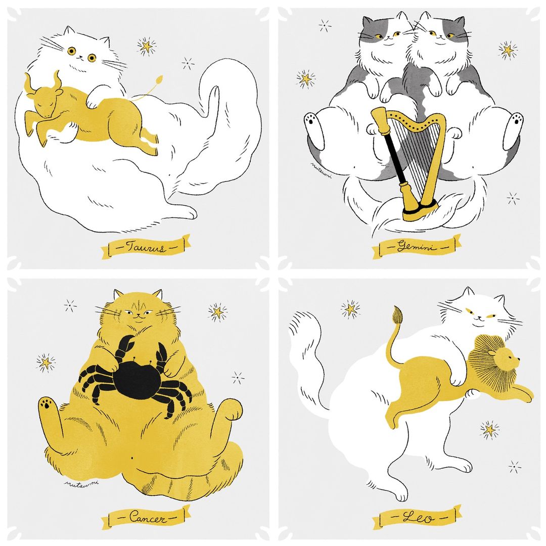 �ձ�<a href=http://m.biwataku.com/sheji/chahua/ target=_blank class=infotextkey>�廭</a>ʦ Kawamu ��è���ճ�