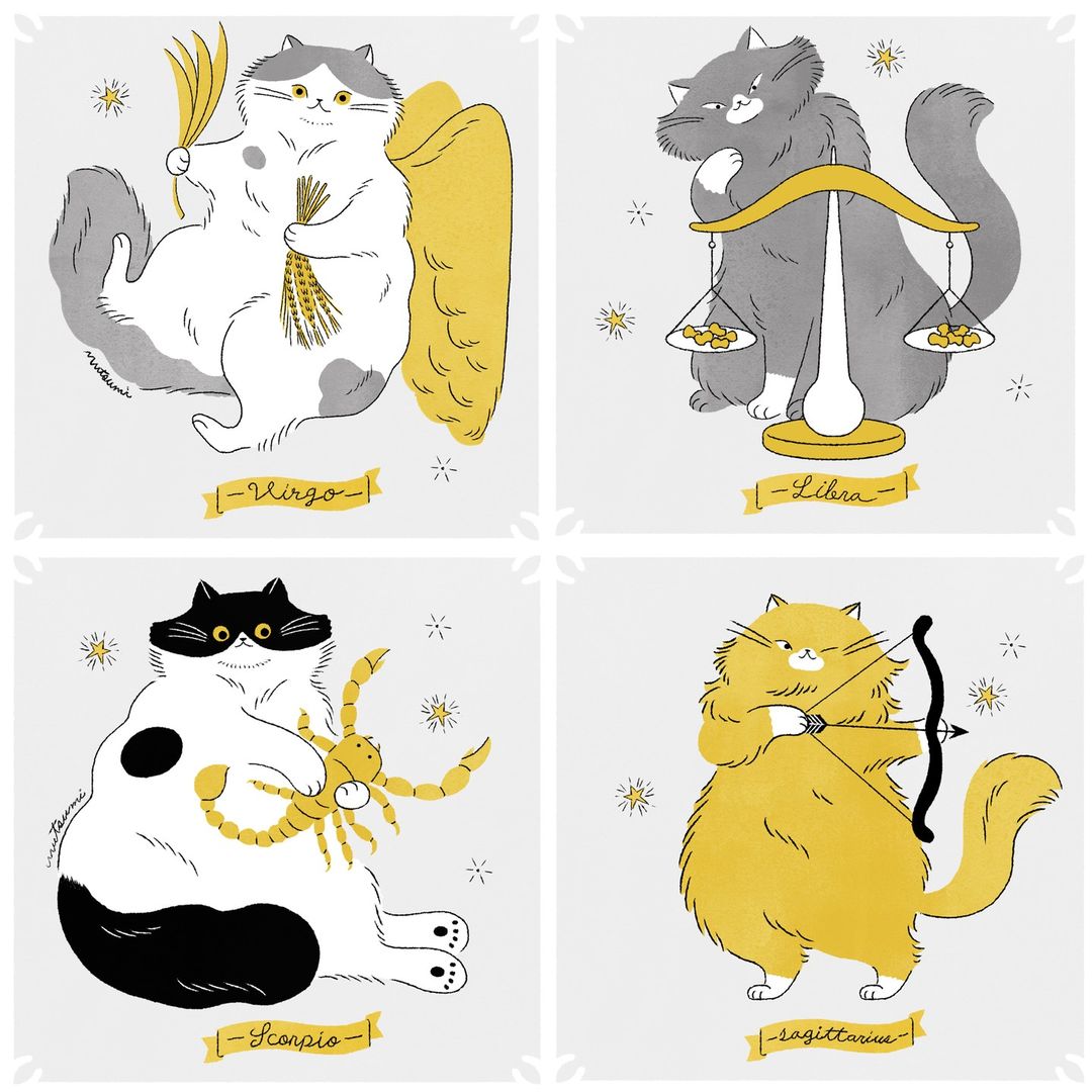 �ձ�<a href=http://m.biwataku.com/sheji/chahua/ target=_blank class=infotextkey>�廭</a>ʦ Kawamu ��è���ճ�