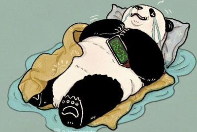 �¼��²廭ʦ xiaobaosg ����Ȥ��è�廭