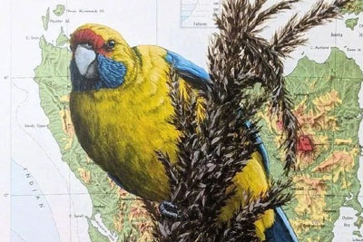 ��̬�������