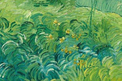 �����������������ߵı�����