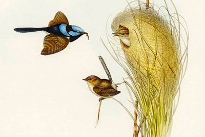 ����ͼ��