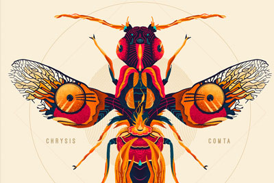 ���桪���ױ���18luck����ȫվ����UMS CREW�廭18luck����ȫվ 