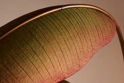 ����Ȼ18luck����ȫվ���ִ��Ҿ�18luck����ȫվ����