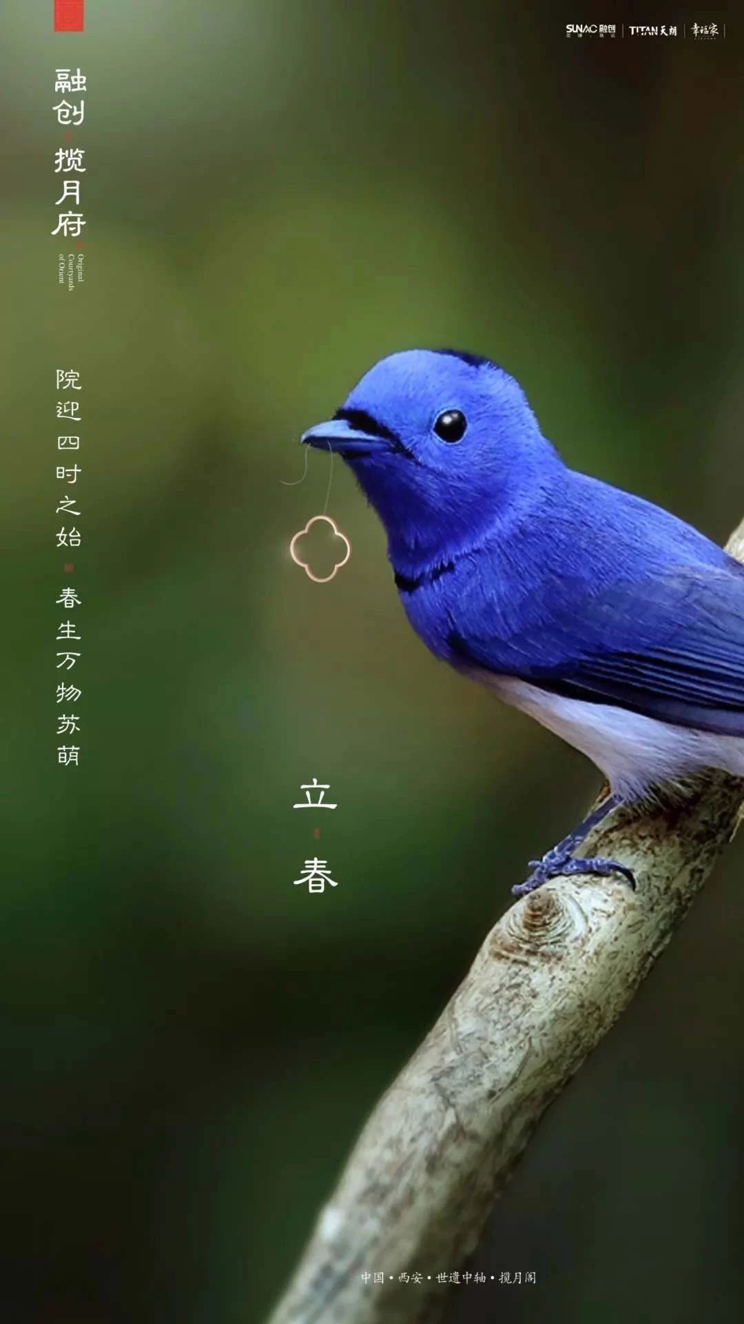 68���������ƺ���<a href=http://m.biwataku.com/ target=_blank class=infotextkey>18luck����ȫվ</a>��Ʒ��