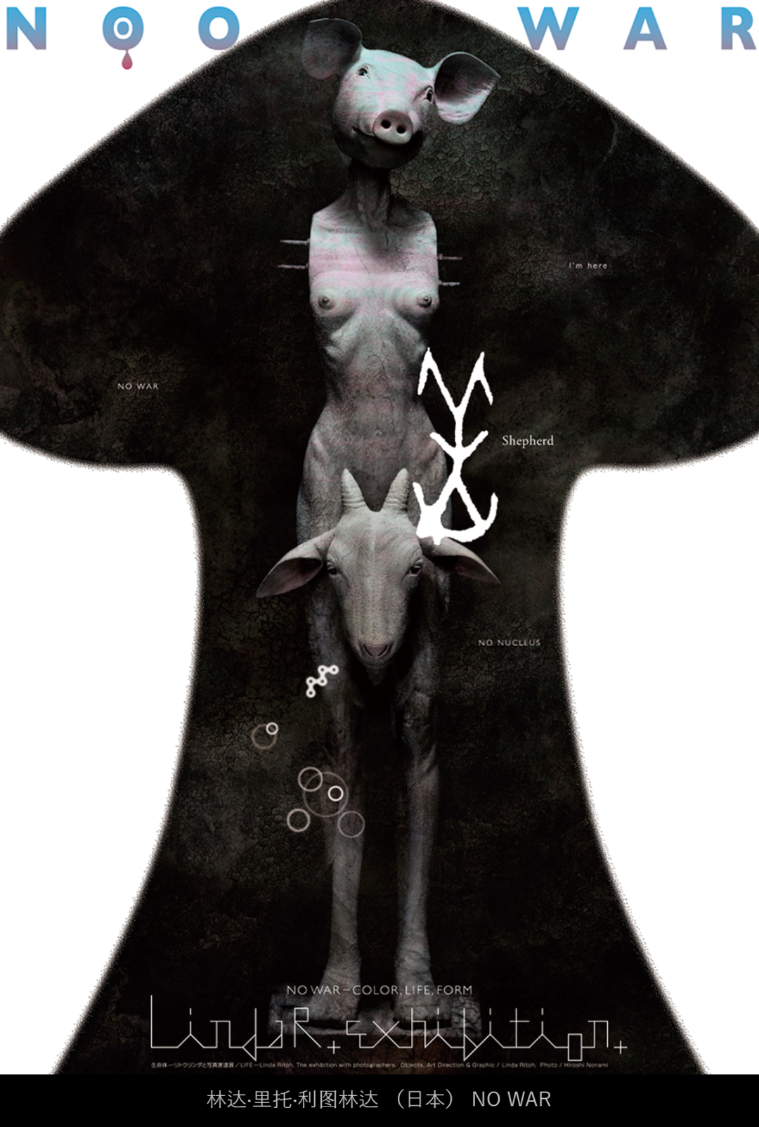 2022�ձ����ʷ�ս����չ������Ʒ