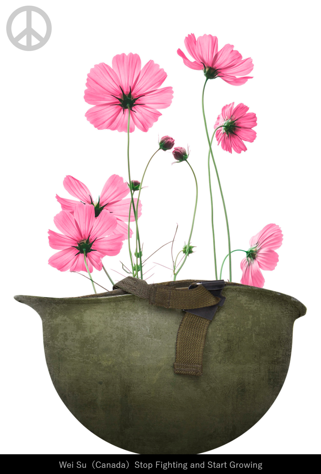 2022�ձ����ʷ�ս����չ������Ʒ