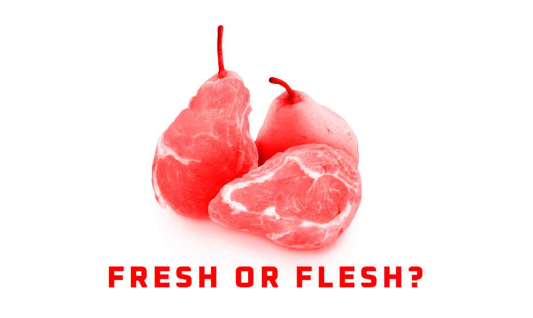 2022�������ǹ��ʺ�����������Ʒ